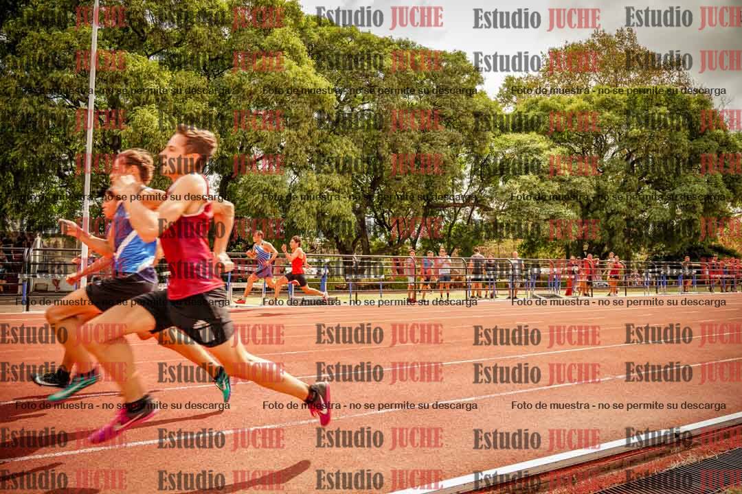 Fotos de los 100 m llanos de varones