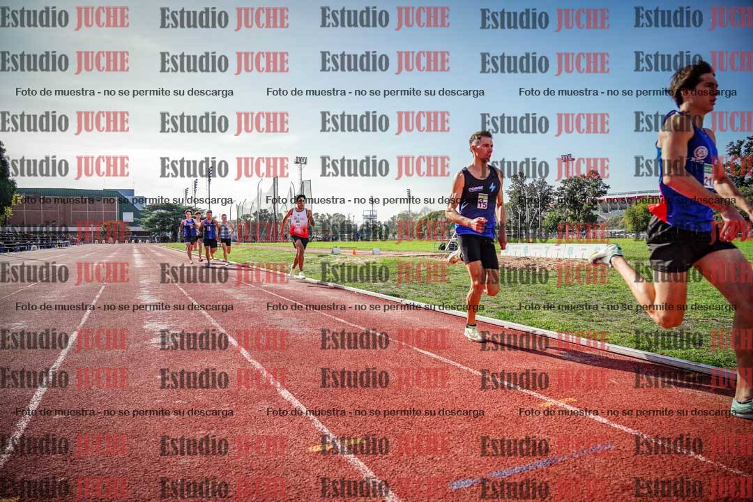 Fotos de los 800 m llanos de varones