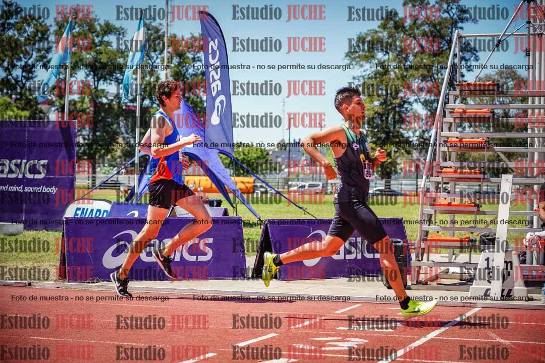 Fotos de los 800 m llanos de varones