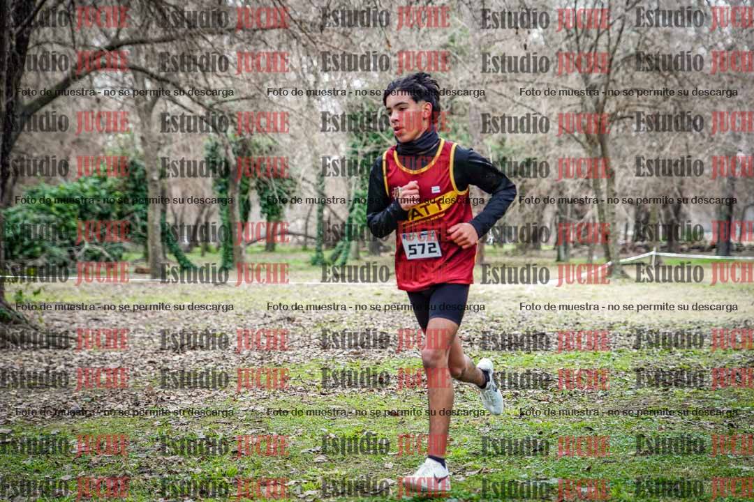 Fotos en el circuito