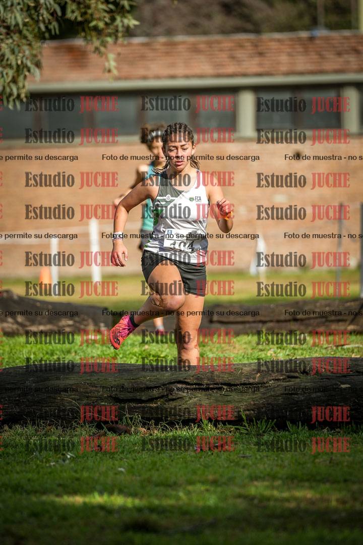 Fotos en el circuito