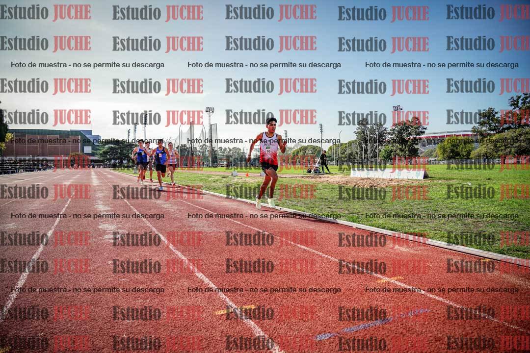 Fotos de los 800 m llanos de varones