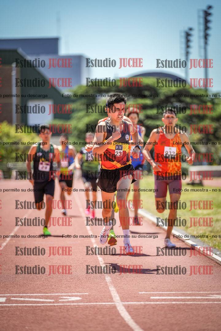 Fotos de los 800 m llanos de varones