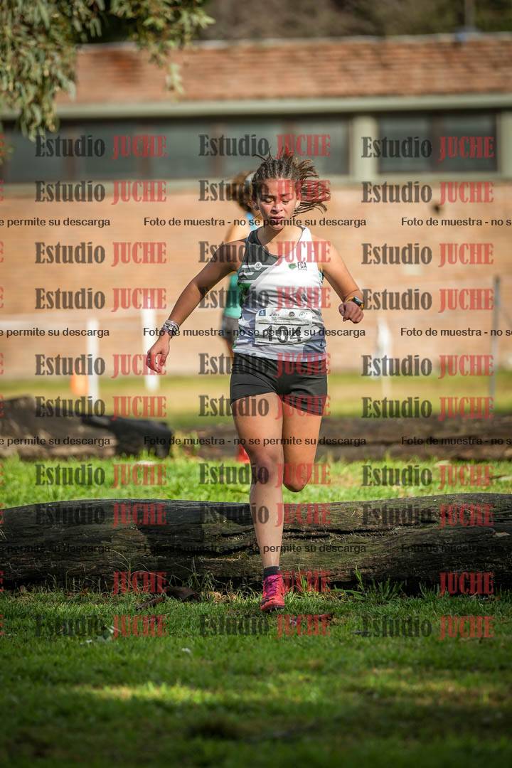 Fotos en el circuito