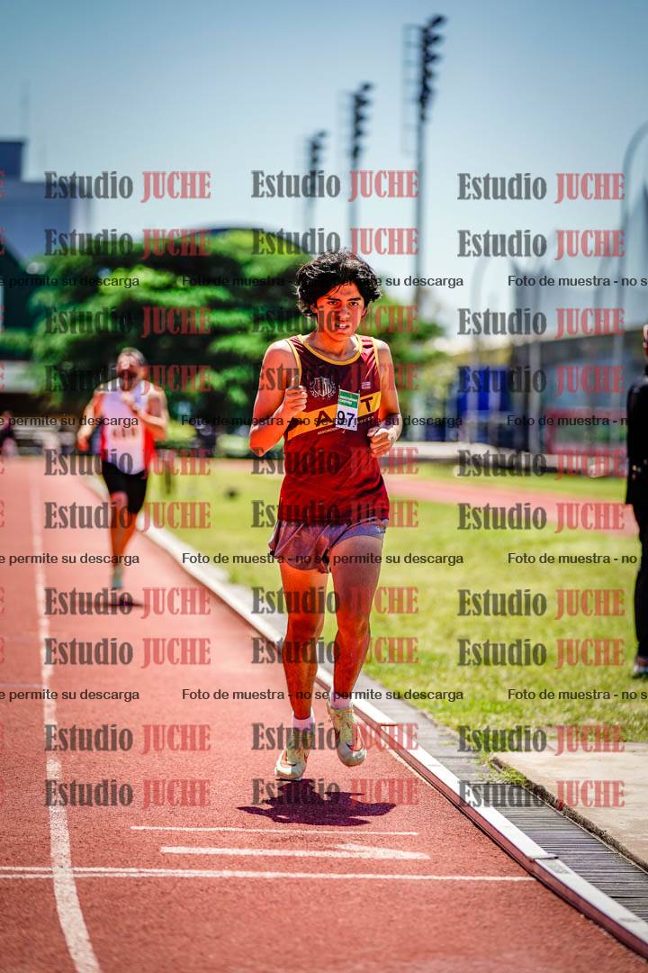Fotos de los 800 m llanos de varones