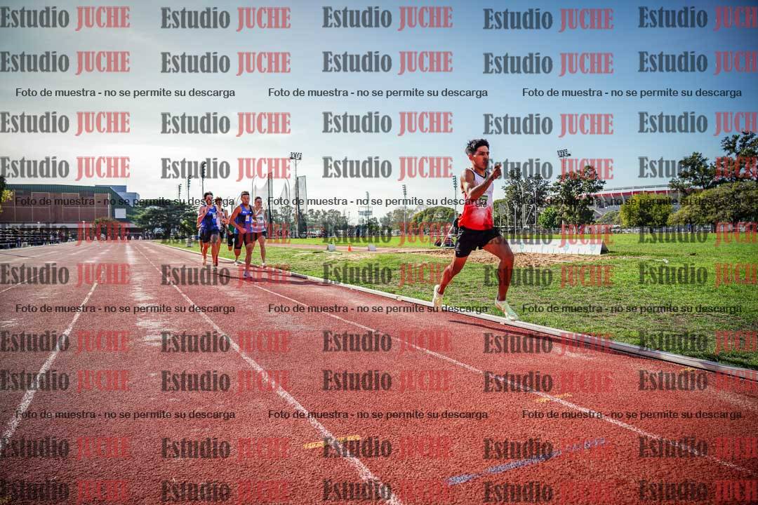 Fotos de los 800 m llanos de varones