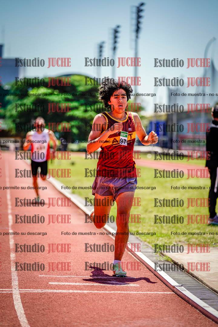 Fotos de los 800 m llanos de varones