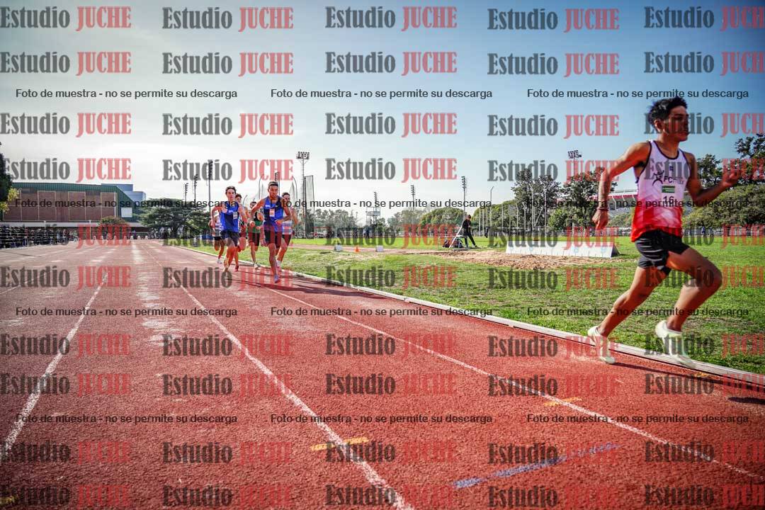 Fotos de los 800 m llanos de varones