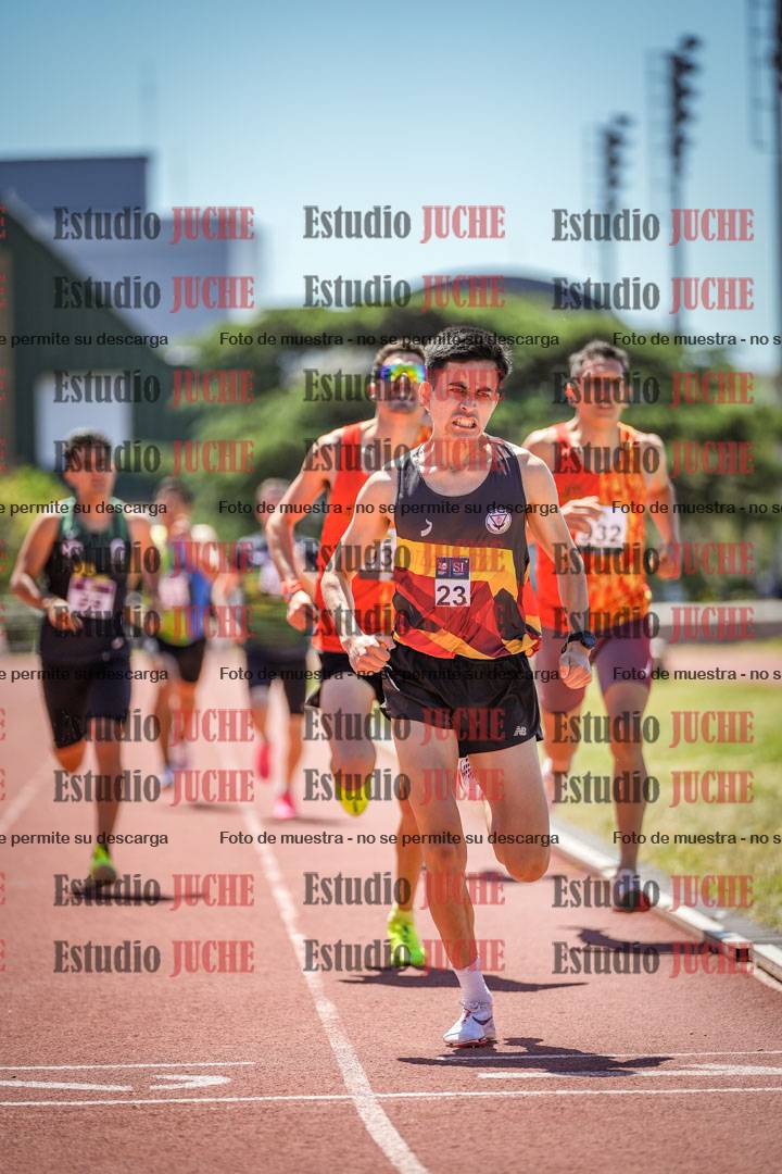 Fotos de los 800 m llanos de varones