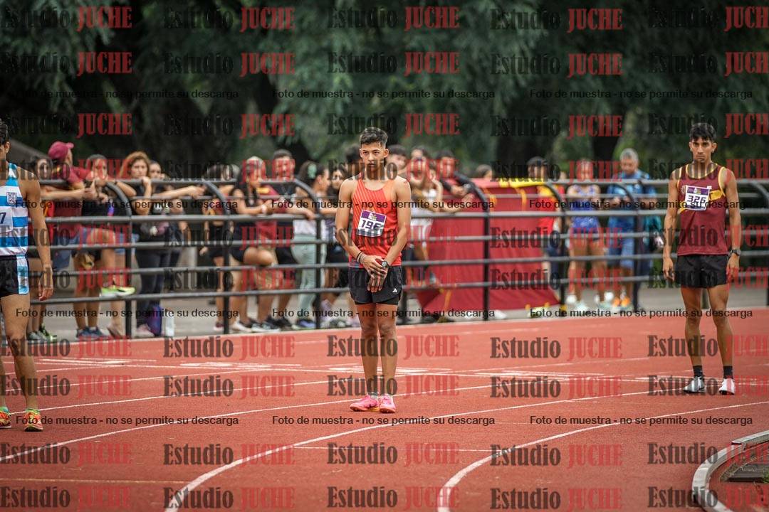 Fotos de los 800 m llanos de varones