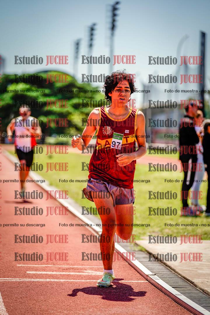 Fotos de los 800 m llanos de varones