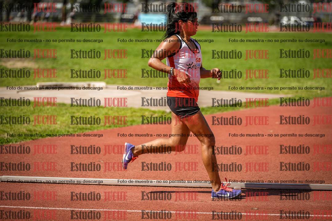 Fotos de los 1500 m llanos de mujeres
