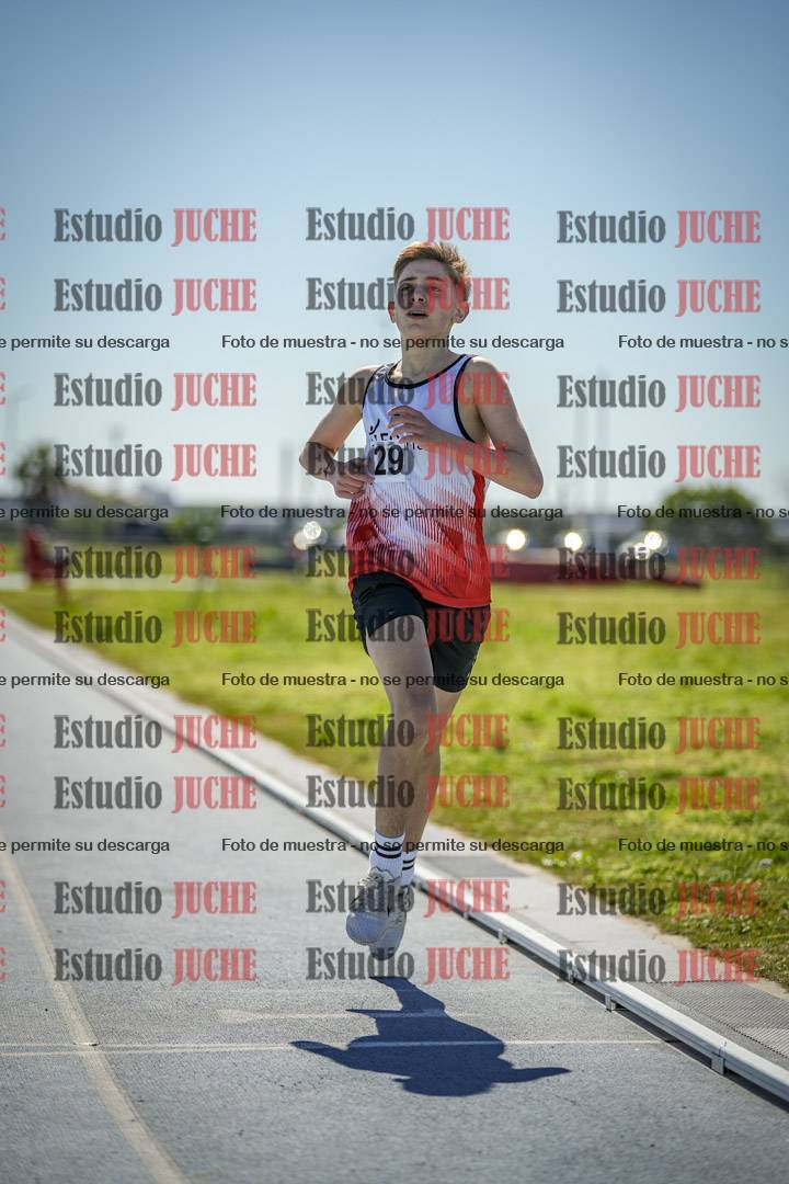 Fotos de los 800 m llanos de varones