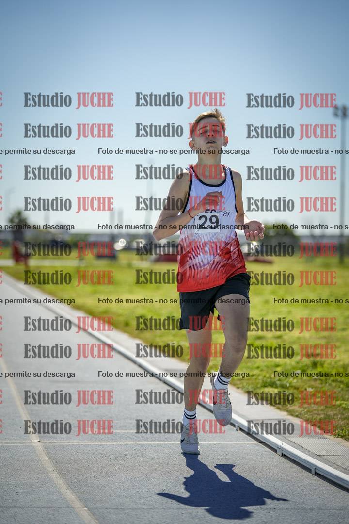 Fotos de los 800 m llanos de varones