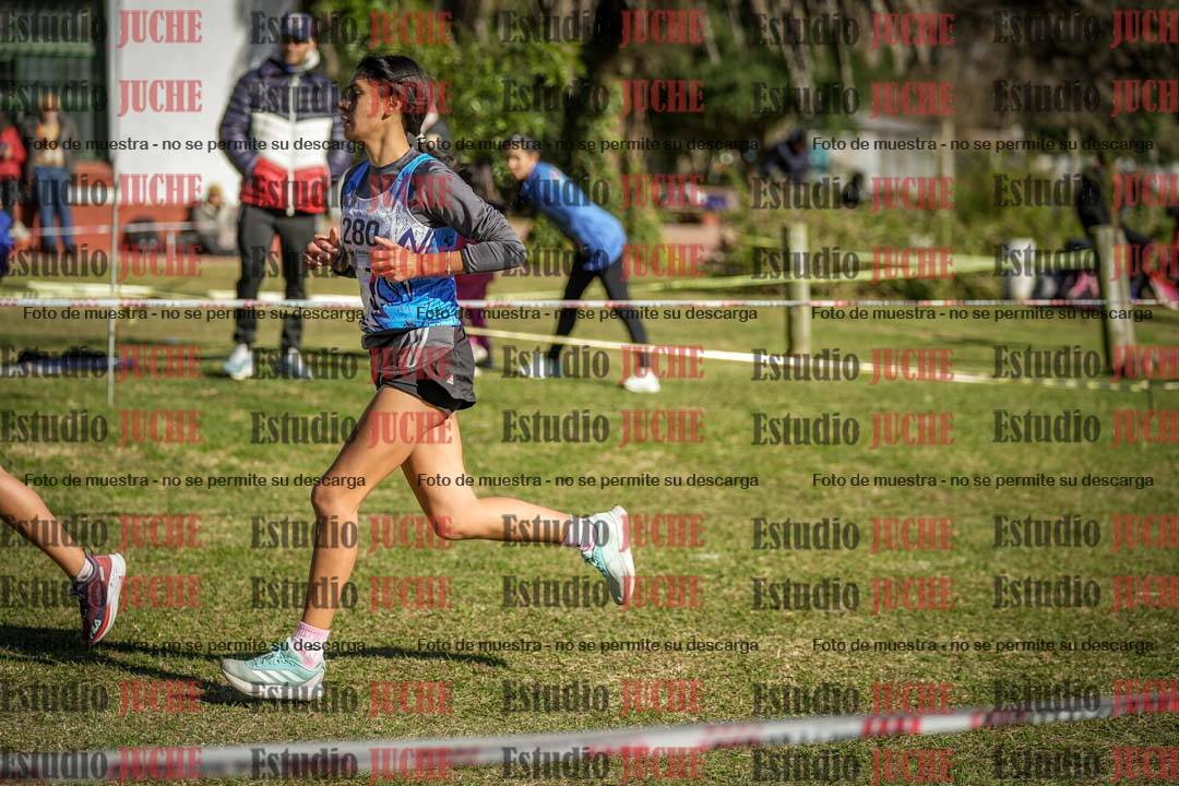 Fotos en el tercer punto del circuito