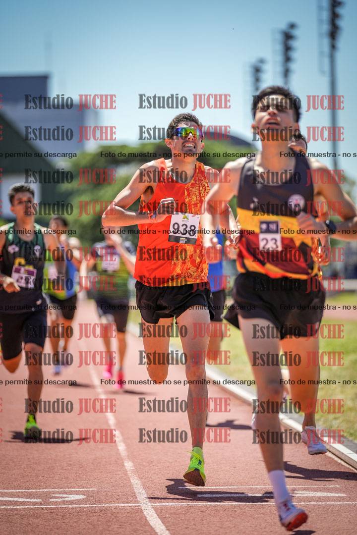 Fotos de los 800 m llanos de varones