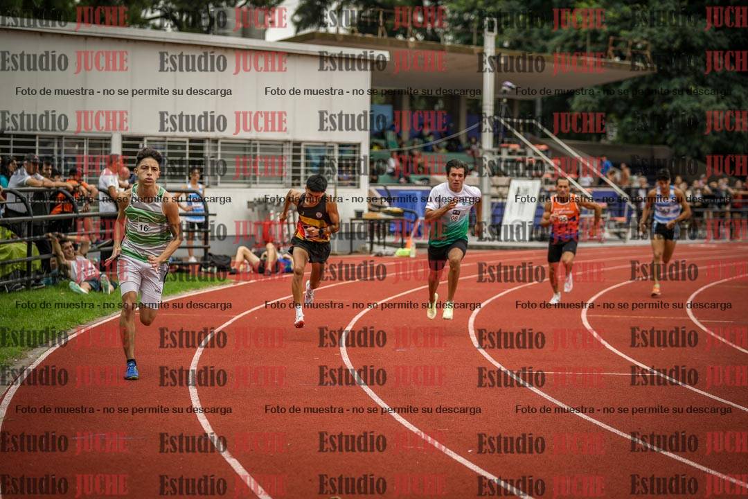 Fotos de los 800 m llanos de varones