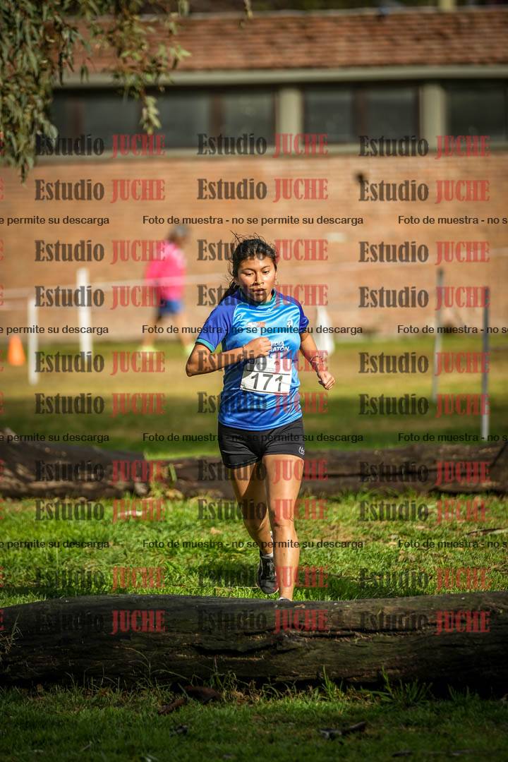 Fotos en el circuito