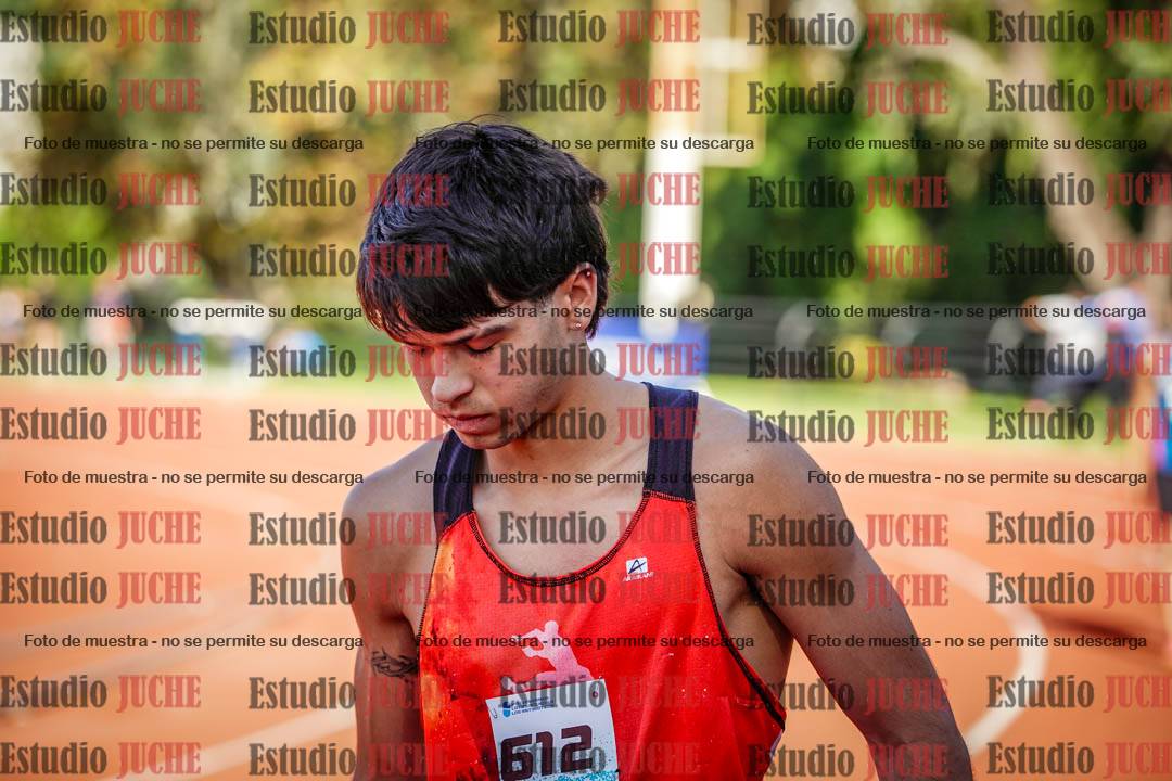 Fotos de los 800 m llanos de varones
