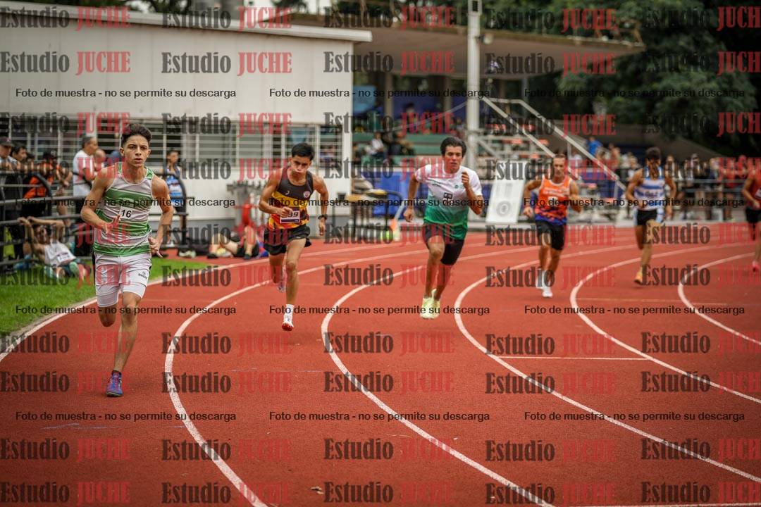 Fotos de los 800 m llanos de varones