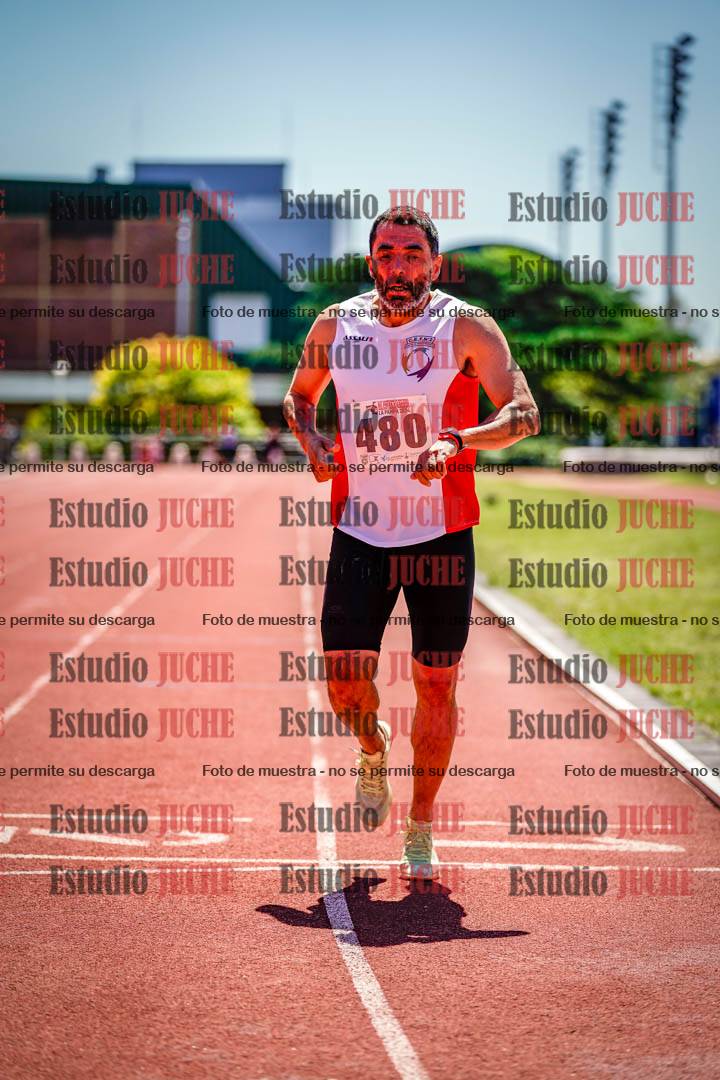 Fotos de los 800 m llanos de varones