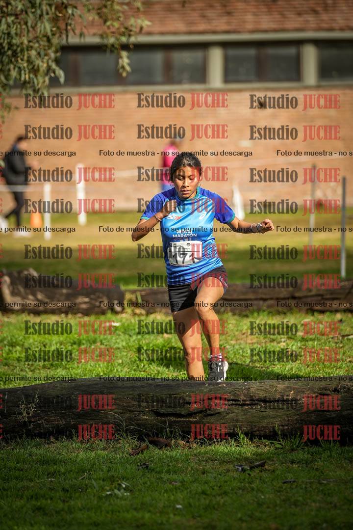 Fotos en el circuito
