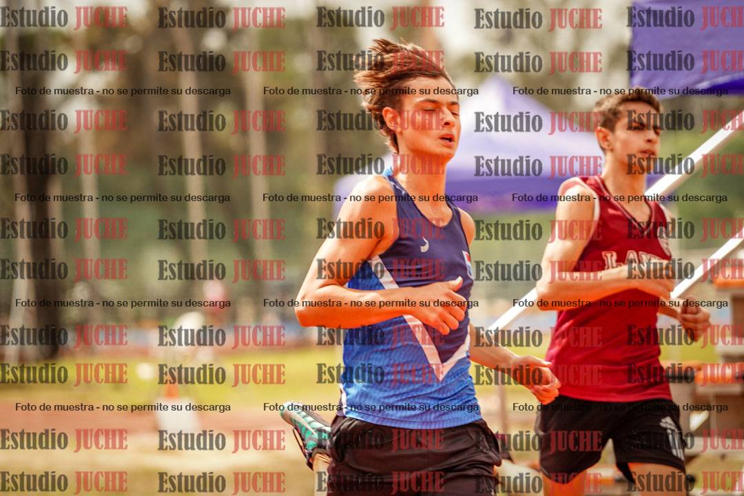 Fotos de los 100 m llanos de varones