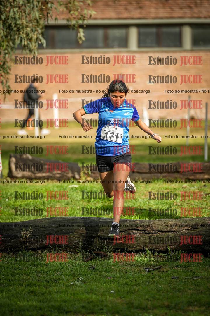 Fotos en el circuito