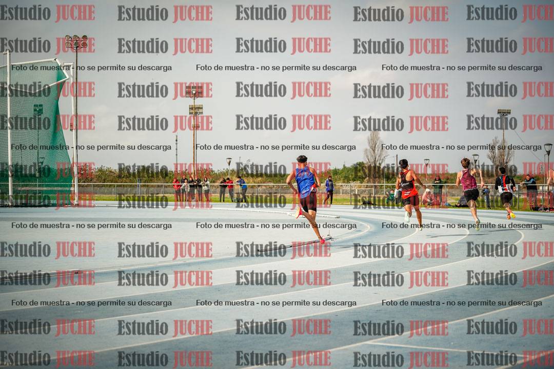 Fotos de los 800 m llanos de varones