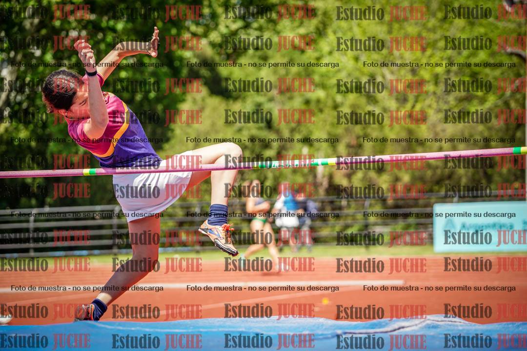 Fotos del salto en alto de mujeres - (incluye hexatlón)