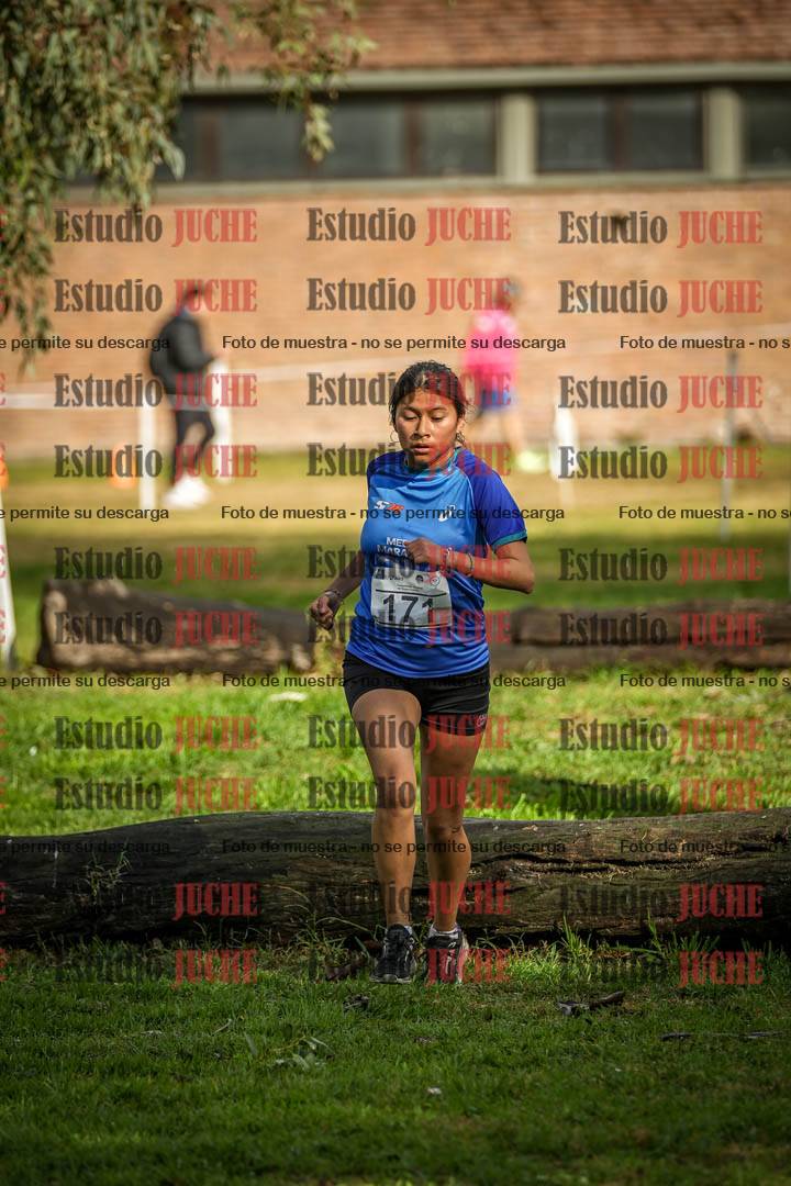 Fotos en el circuito