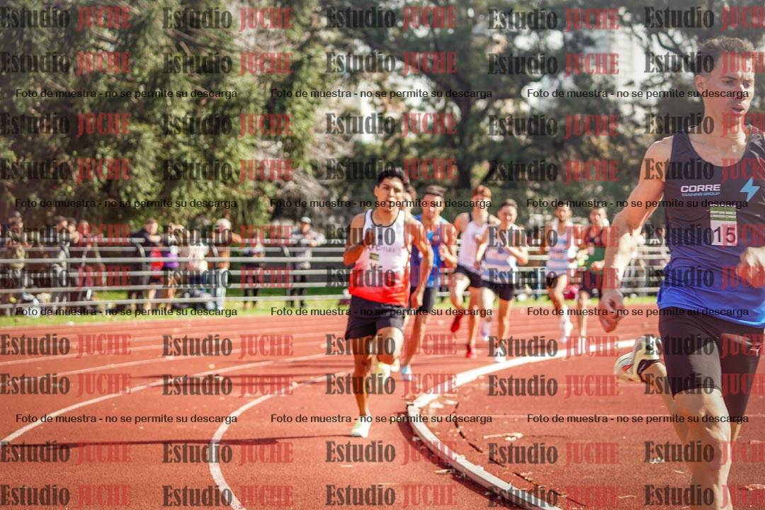 Fotos de los 800 m llanos de varones