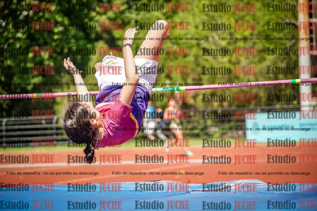 Fotos del salto en alto de mujeres - (incluye hexatlón)