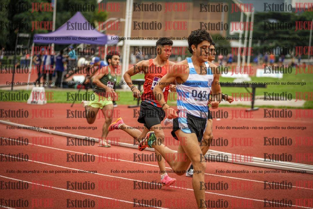 Fotos de los 800 m llanos de varones