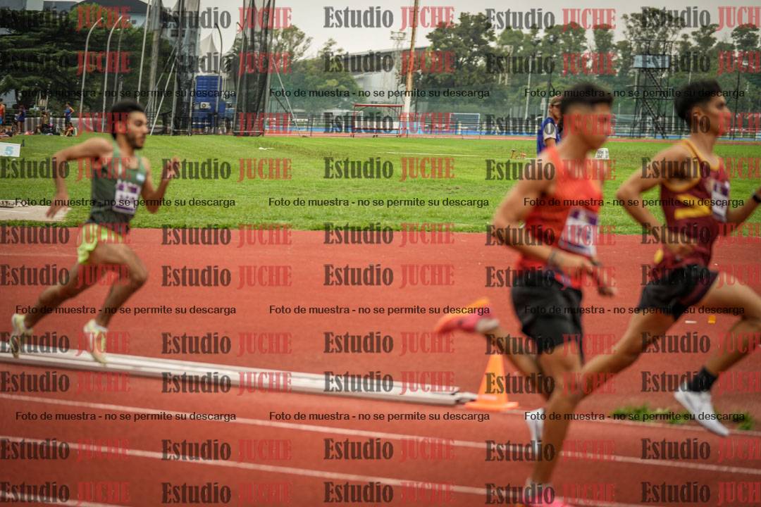Fotos de los 800 m llanos de varones