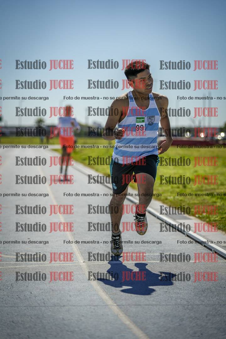 Fotos de los 800 m llanos de varones