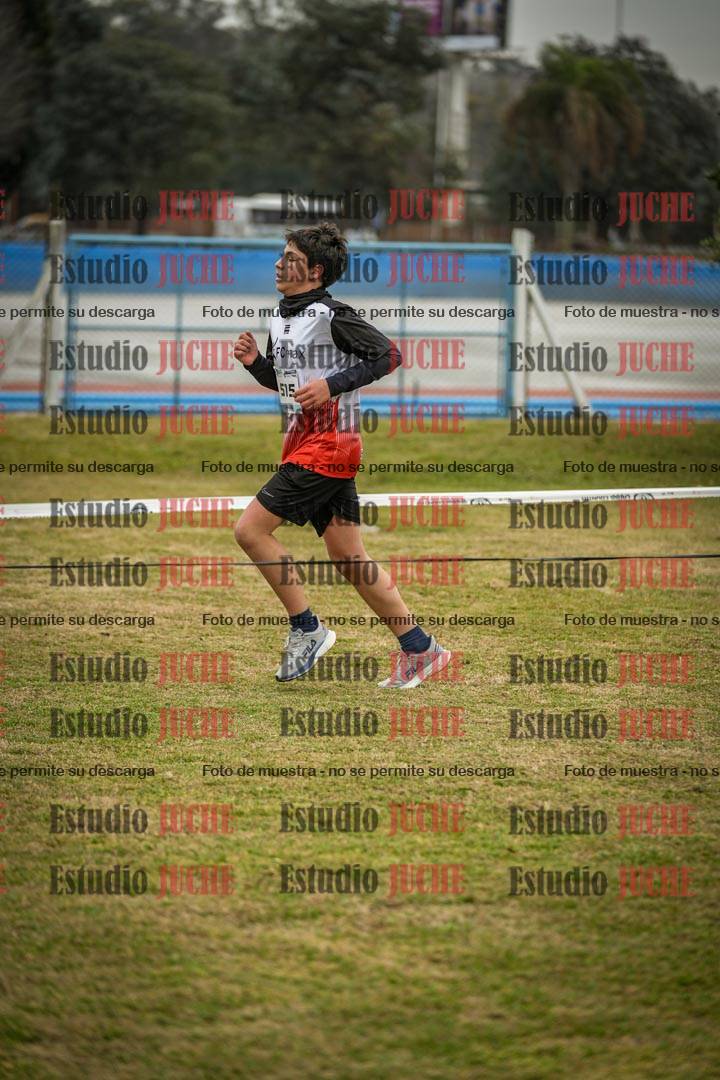 Fotos en el circuito