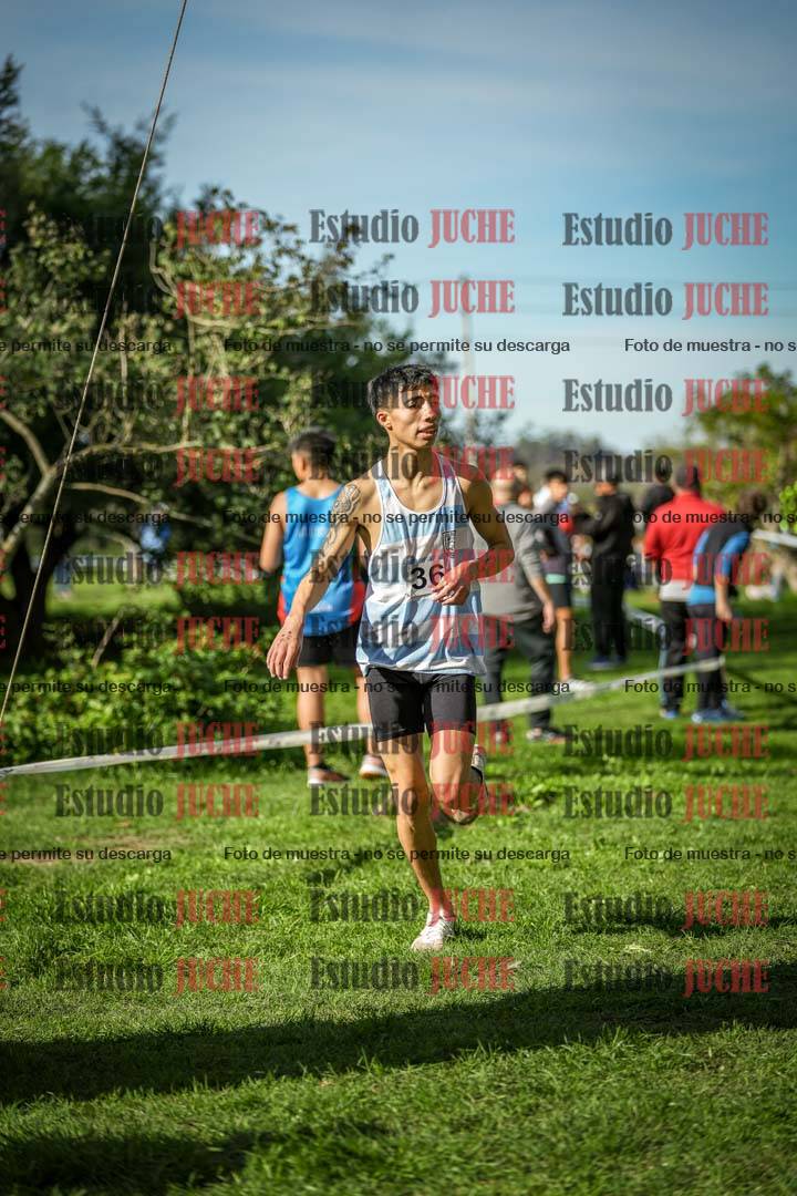 Fotos de la llegada del cross de 3000 m