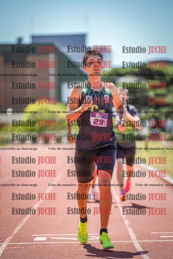 Fotos de los 800 m llanos de varones