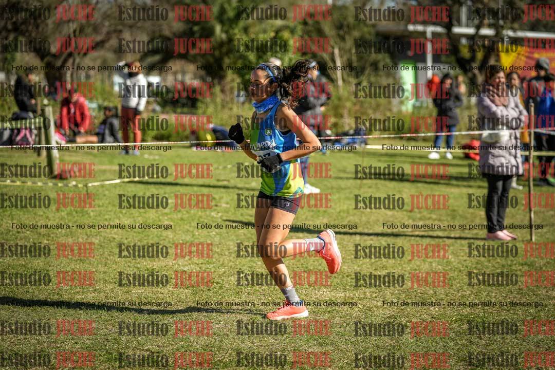 Fotos en el tercer punto del circuito