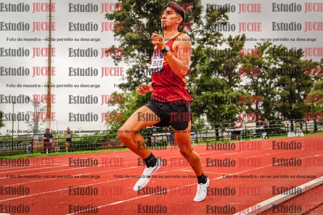 Fotos de los 800 m llanos de varones