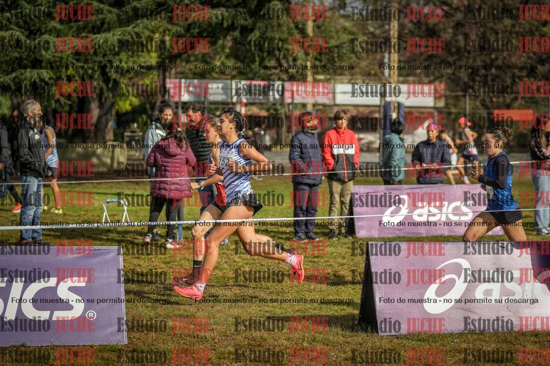 Fotos en el circuito