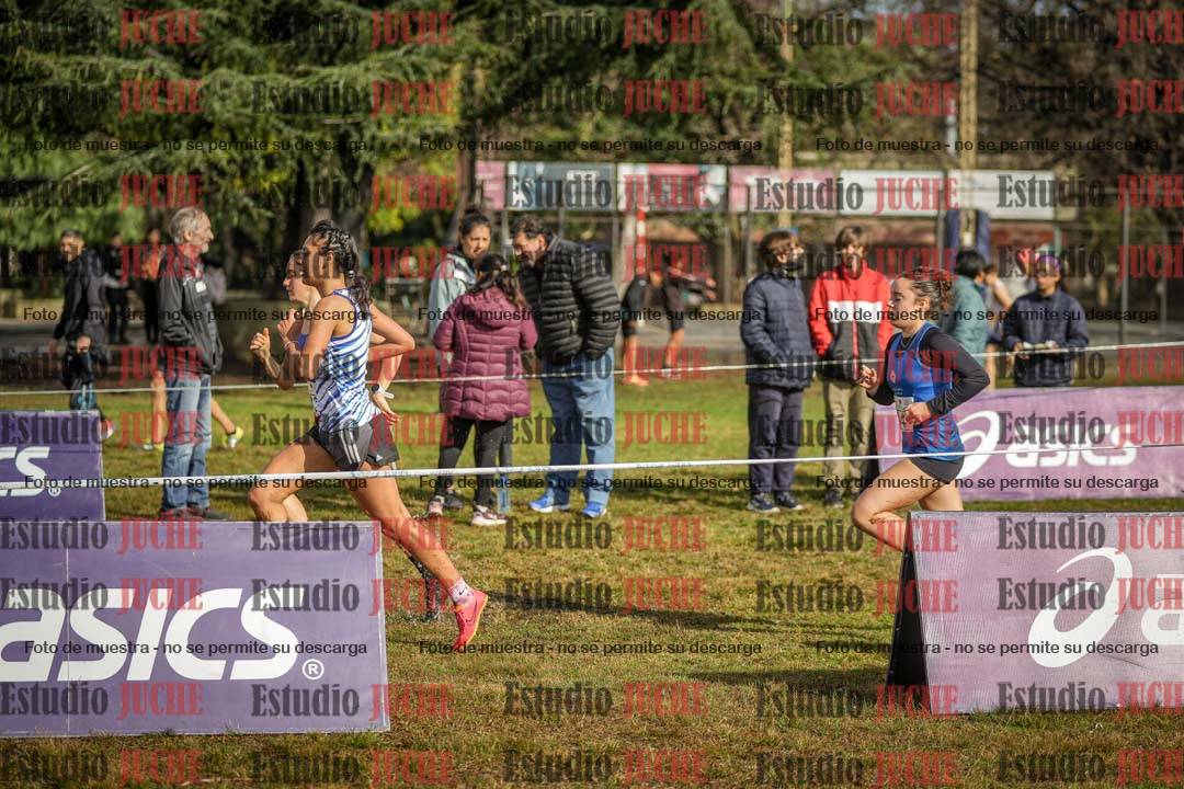 Fotos en el circuito