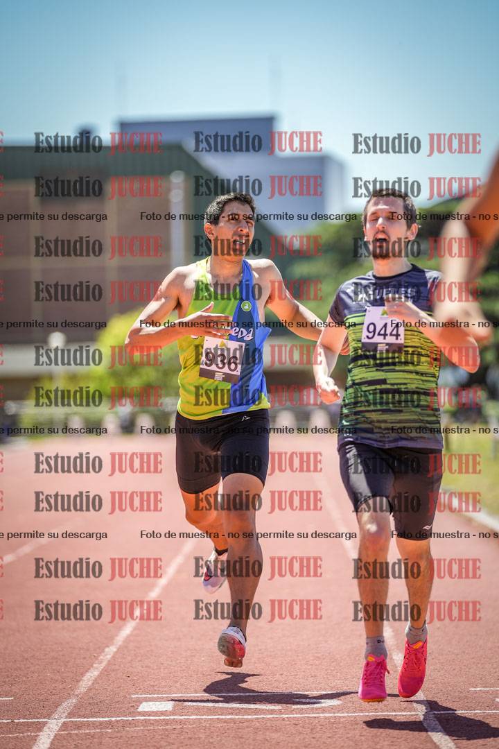 Fotos de los 800 m llanos de varones