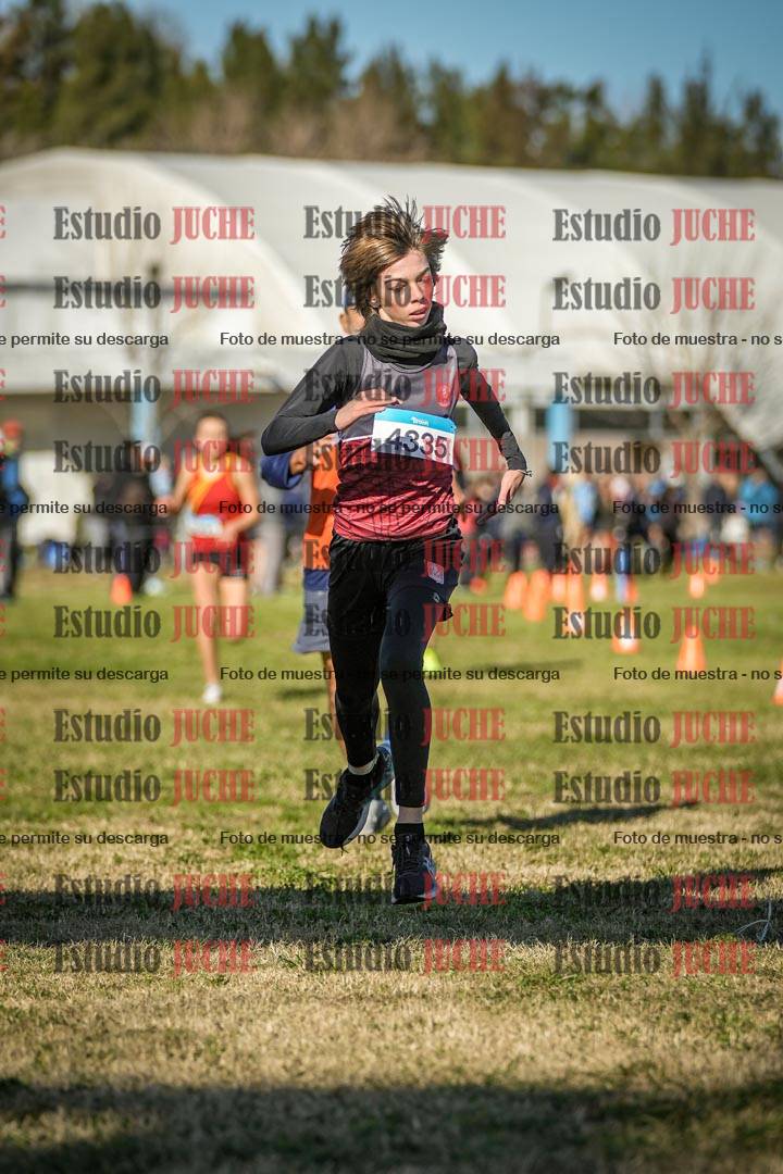 Fotos de las llegadas