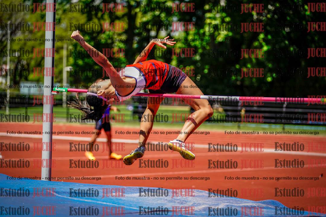 Fotos del salto en alto