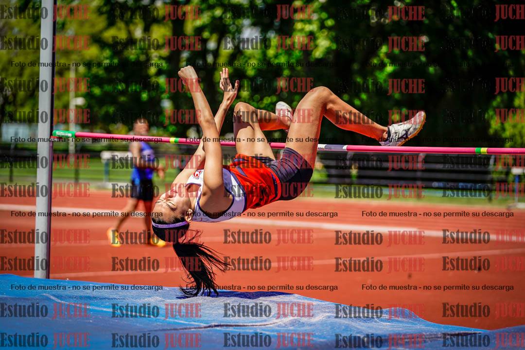 Fotos del salto en alto