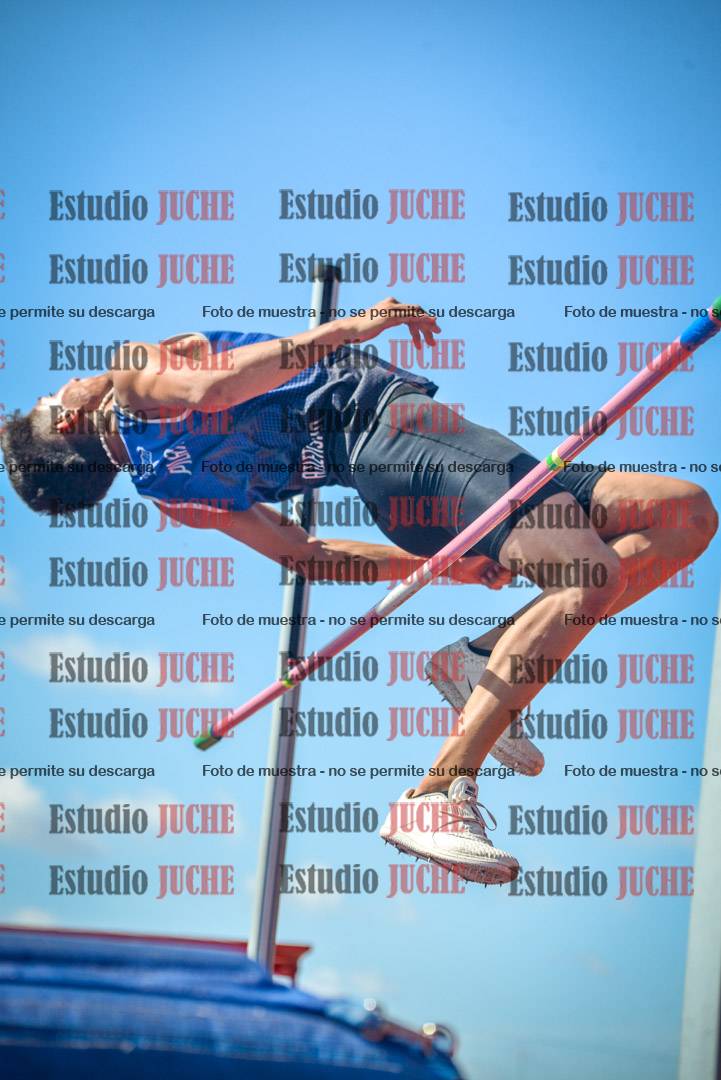 Fotos del salto en alto de varones