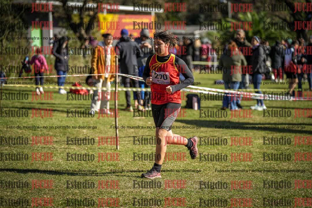 Fotos en el tercer punto del circuito