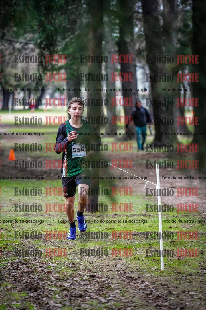 Fotos en el circuito